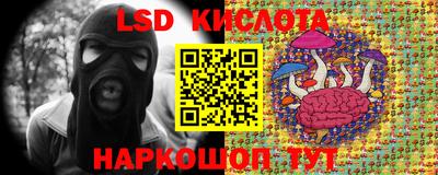 индика Краснознаменск